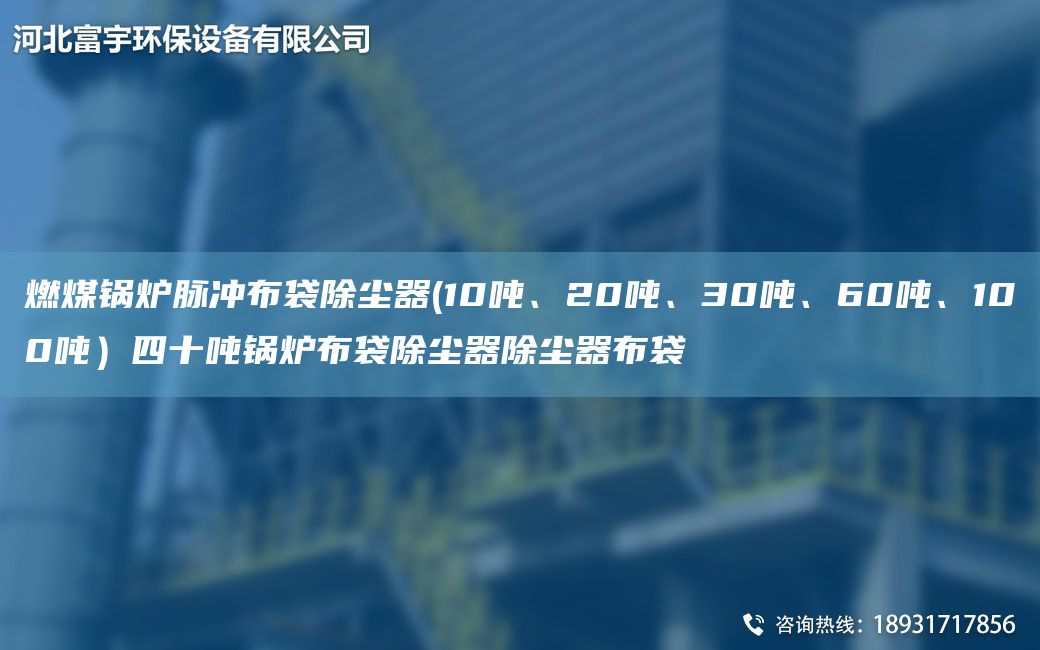 燃煤鍋爐脈沖布袋除塵器(10噸、20噸、30噸、60噸、100噸）四十噸鍋爐布袋除塵器除塵器布袋