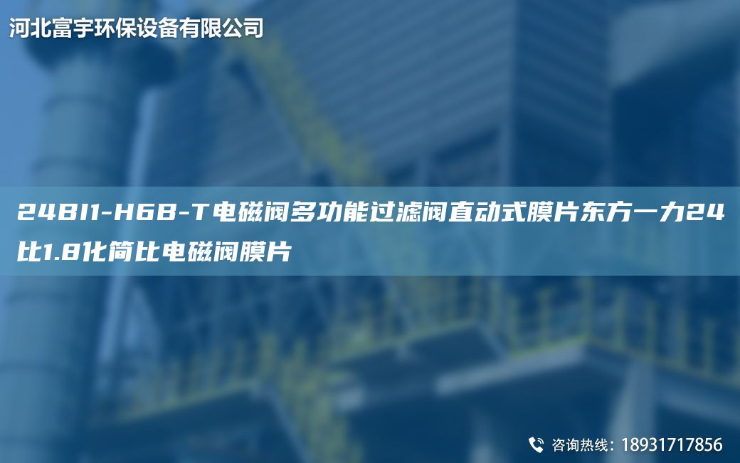 24BI1-H6B-T電磁閥多功能過濾閥直動式膜片東方一力24比1.8化簡比電磁閥膜片