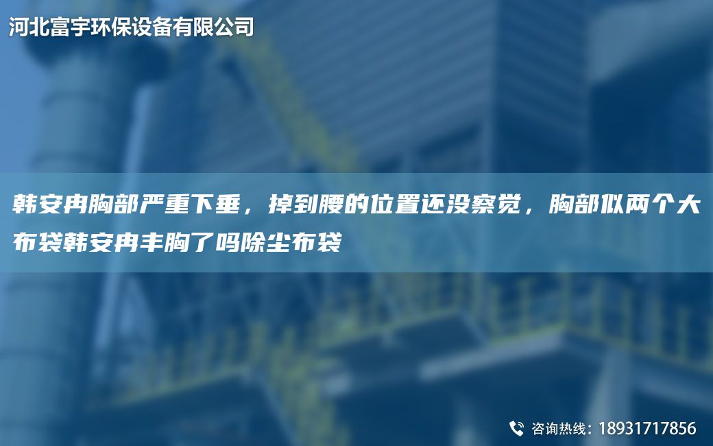 韓安冉胸部嚴重下垂，掉到腰的位置還沒察覺，胸部似兩個大布袋韓安冉豐胸了嗎除塵布袋