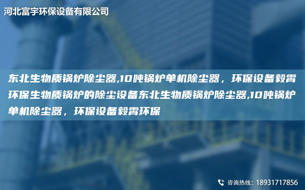 東北生物質鍋爐除塵器,10噸鍋爐單機除塵器，環(huán)保設備毅霄環(huán)保生物質鍋爐的除塵設備東北生物質鍋爐除塵器,10噸鍋爐單機除塵器，環(huán)保設備毅霄環(huán)保