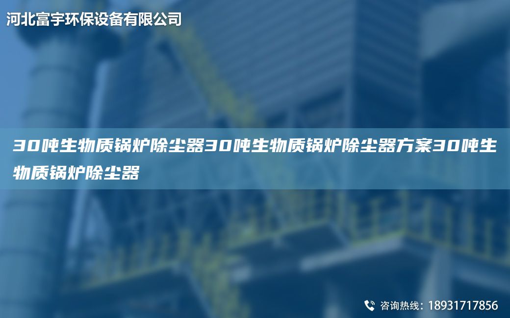 30噸生物質鍋爐除塵器30噸生物質鍋爐除塵器方案30噸生物質鍋爐除塵器