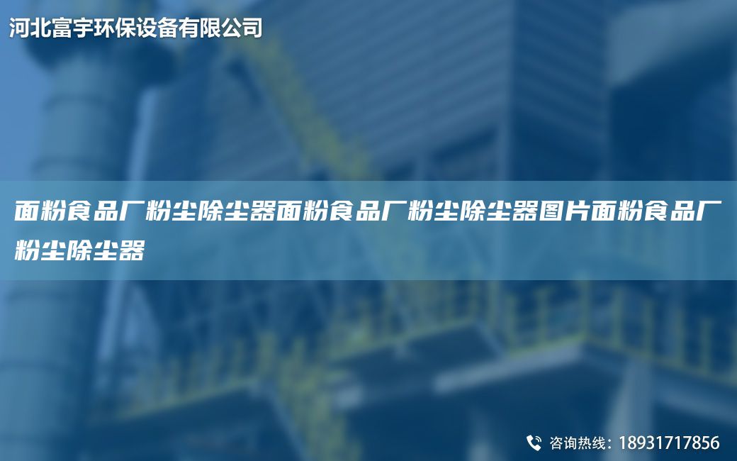 面粉食品廠粉塵除塵器面粉食品廠粉塵除塵器圖片面粉食品廠粉塵除塵器