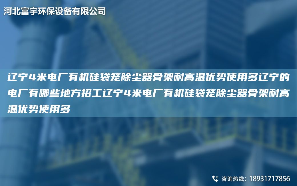 遼寧4米電廠有機(jī)硅袋籠除塵器骨架耐高溫優(yōu)勢(shì)使用多遼寧的電廠有哪些地方招工遼寧4米電廠有機(jī)硅袋籠除塵器骨架耐高溫優(yōu)勢(shì)使用多