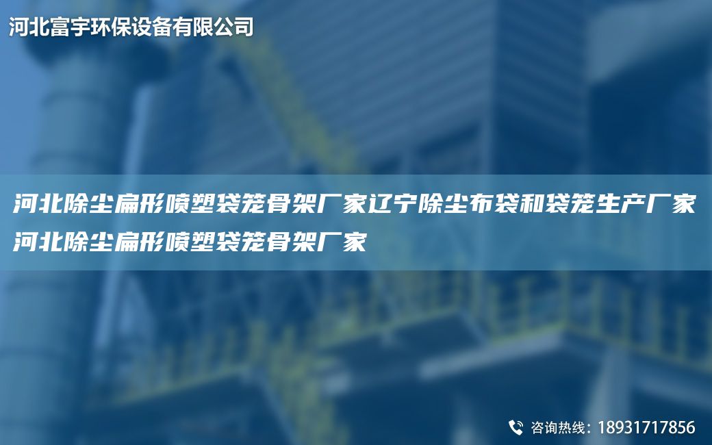 河北除塵扁形噴塑袋籠骨架廠家遼寧除塵布袋和袋籠生產(chǎn)廠家河北除塵扁形噴塑袋籠骨架廠家