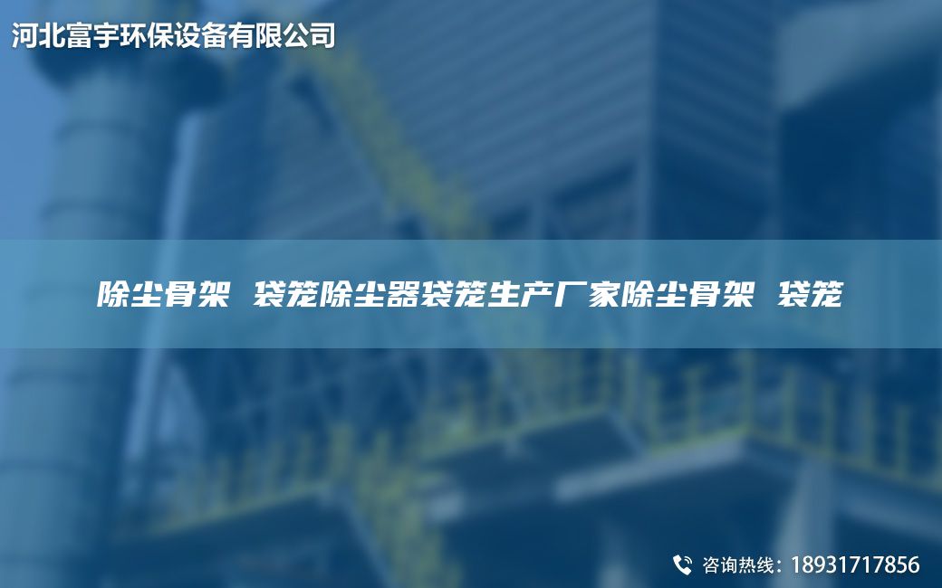 除塵骨架 袋籠除塵器袋籠生產(chǎn)廠家除塵骨架 袋籠