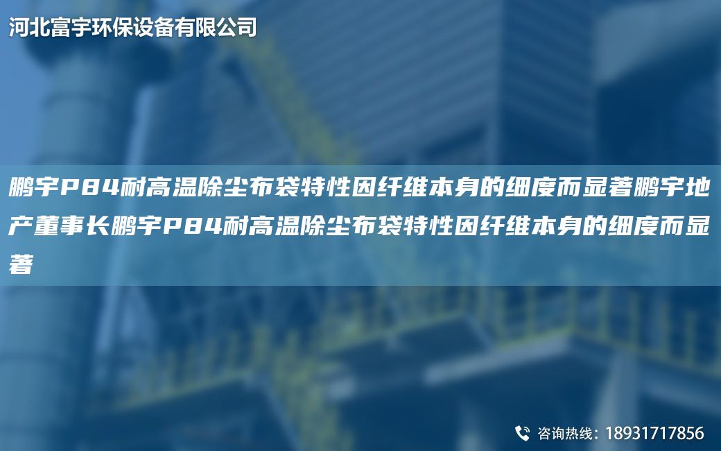 鵬宇P84耐高溫除塵布袋特性因纖維本身的細(xì)度而顯著鵬宇地產(chǎn)董事長鵬宇P84耐高溫除塵布袋特性因纖維本身的細(xì)度而顯著
