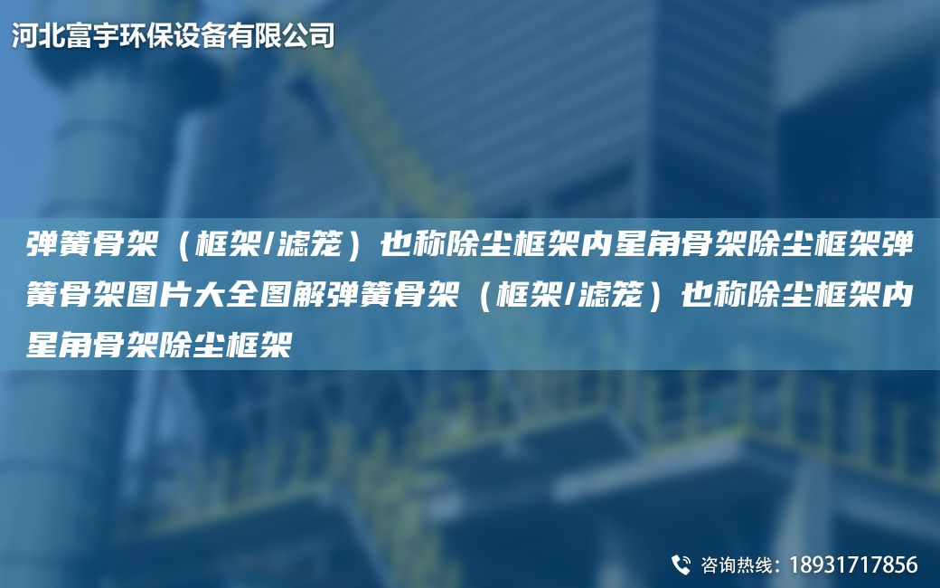彈簧骨架（框架/濾籠）也稱除塵框架內(nèi)星角骨架除塵框架彈簧骨架圖片大全圖解彈簧骨架（框架/濾籠）也稱除塵框架內(nèi)星角骨架除塵框架