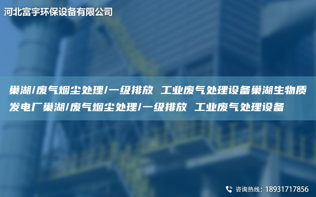 巢湖/廢氣煙塵處理/一級排放 工業(yè)廢氣處理設備巢湖生物質發(fā)電廠巢湖/廢氣煙塵處理/一級排放 工業(yè)廢氣處理設備