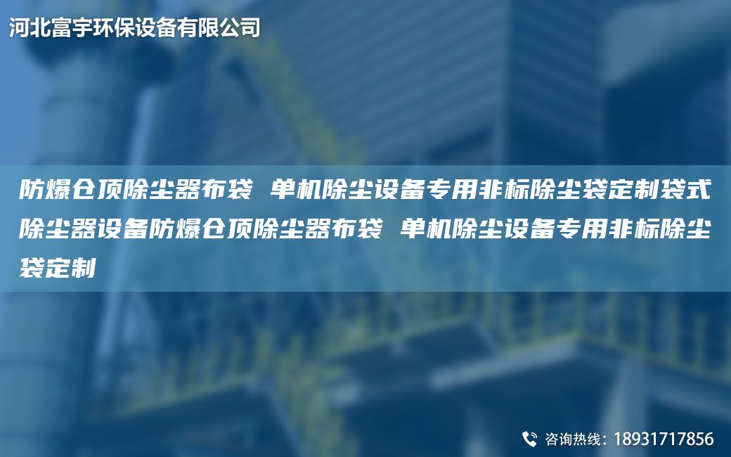 防爆倉(cāng)頂除塵器布袋 單機(jī)除塵設(shè)備專用非標(biāo)除塵袋定制袋式除塵器設(shè)備防爆倉(cāng)頂除塵器布袋 單機(jī)除塵設(shè)備專用非標(biāo)除塵袋定制