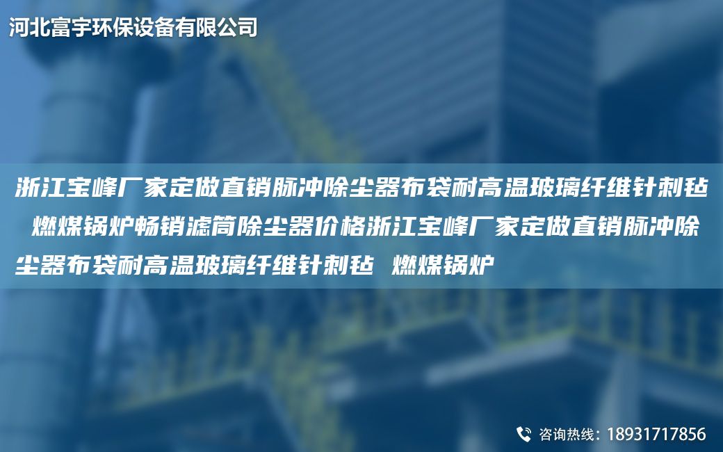 浙江寶峰廠家定做直銷脈沖除塵器布袋耐高溫玻璃纖維針刺氈 燃煤鍋爐暢銷濾筒除塵器價(jià)格浙江寶峰廠家定做直銷脈沖除塵器布袋耐高溫玻璃纖維針刺氈 燃煤鍋爐