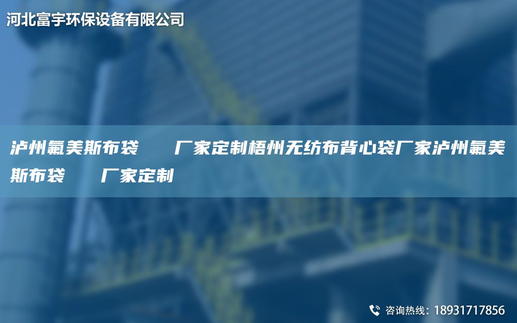 瀘州氟美斯布袋   廠家定制梧州無紡布背心袋廠家瀘州氟美斯布袋   廠家定制