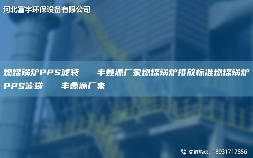 燃煤鍋爐PPS濾袋   豐鑫源廠(chǎng)家燃煤鍋爐排放標(biāo)準(zhǔn)燃煤鍋爐PPS濾袋   豐鑫源廠(chǎng)家