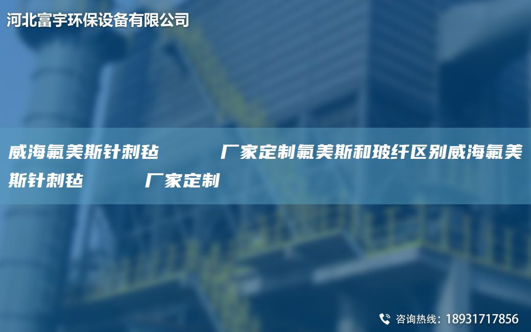 威海氟美斯針刺氈     廠家定制氟美斯和玻纖區(qū)別威海氟美斯針刺氈     廠家定制