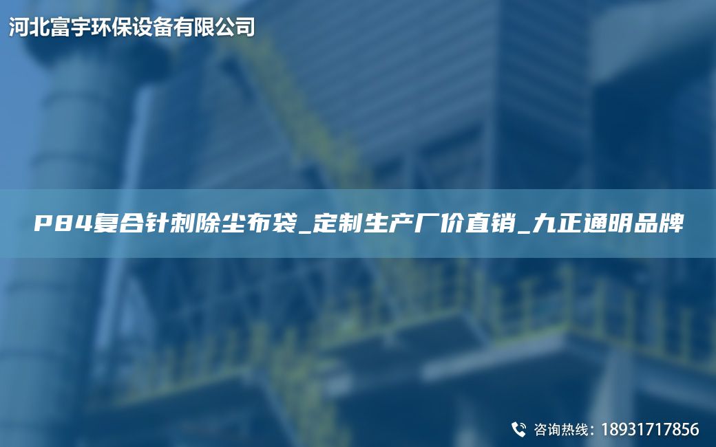 P84復(fù)合針刺除塵布袋_定制生產(chǎn)廠價(jià)直銷_九正通明PP