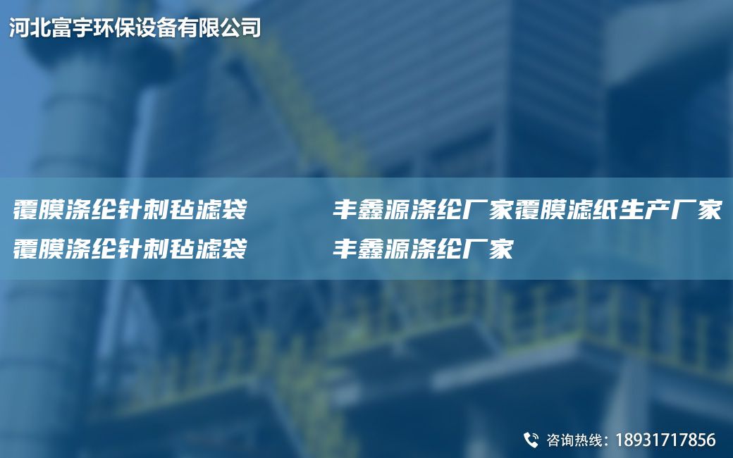 覆膜滌綸針刺氈濾袋     豐鑫源滌綸廠家覆膜濾紙生產(chǎn)廠家覆膜滌綸針刺氈濾袋     豐鑫源滌綸廠家