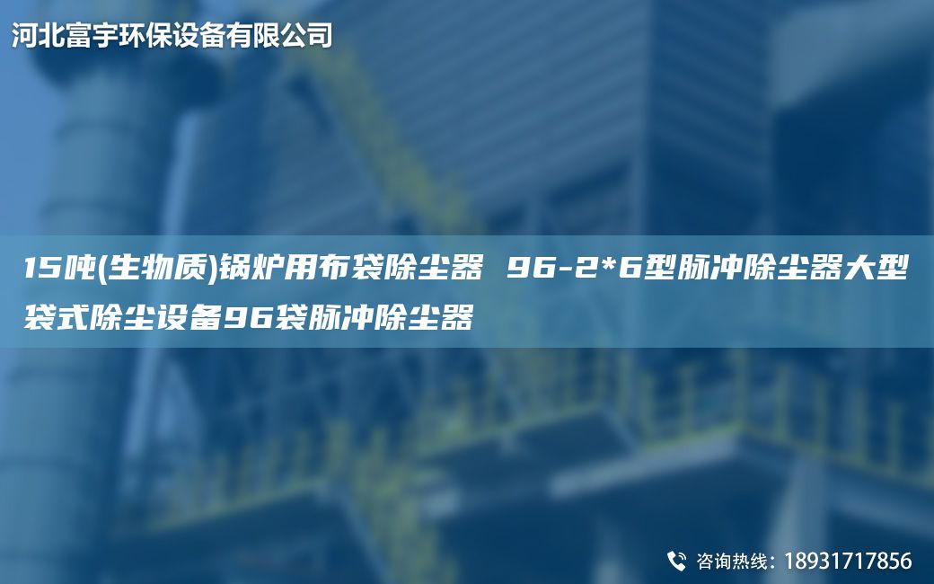 15噸(生物質(zhì))鍋爐用布袋除塵器 96-2*6型脈沖除塵器大型袋式除塵設(shè)備96袋脈沖除塵器