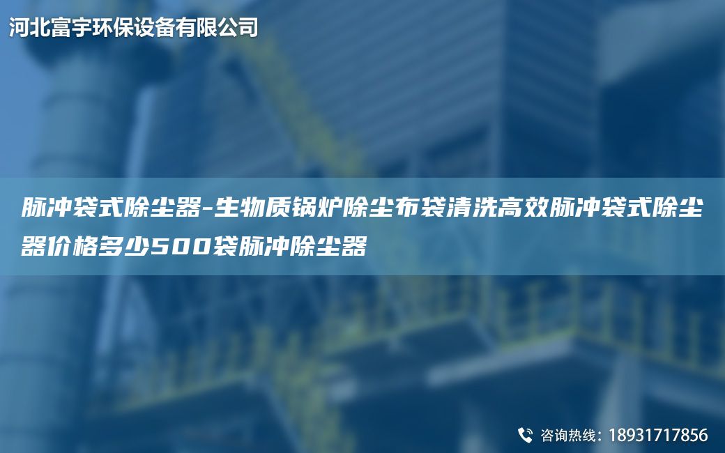 脈沖袋式除塵器-生物質(zhì)鍋爐除塵布袋清洗高效脈沖袋式除塵器價格多少500袋脈沖除塵器