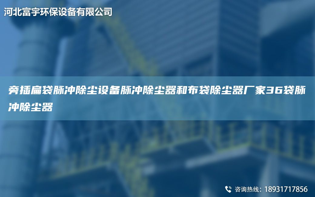 旁插扁袋脈沖除塵設(shè)備脈沖除塵器和布袋除塵器廠家36袋脈沖除塵器
