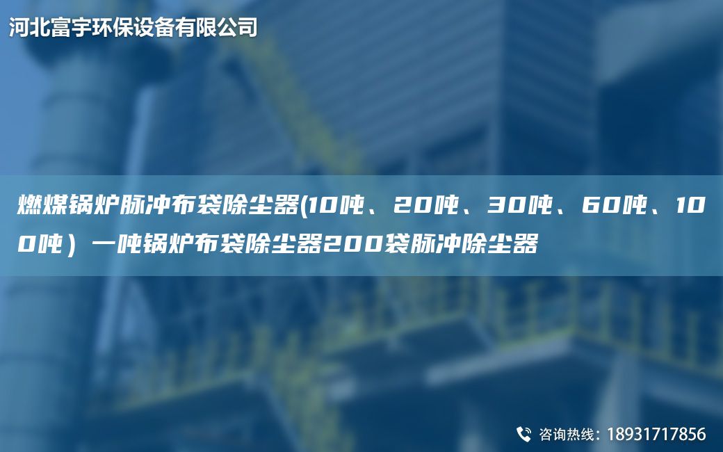 燃煤鍋爐脈沖布袋除塵器(10噸、20噸、30噸、60噸、100噸）一噸鍋爐布袋除塵器200袋脈沖除塵器