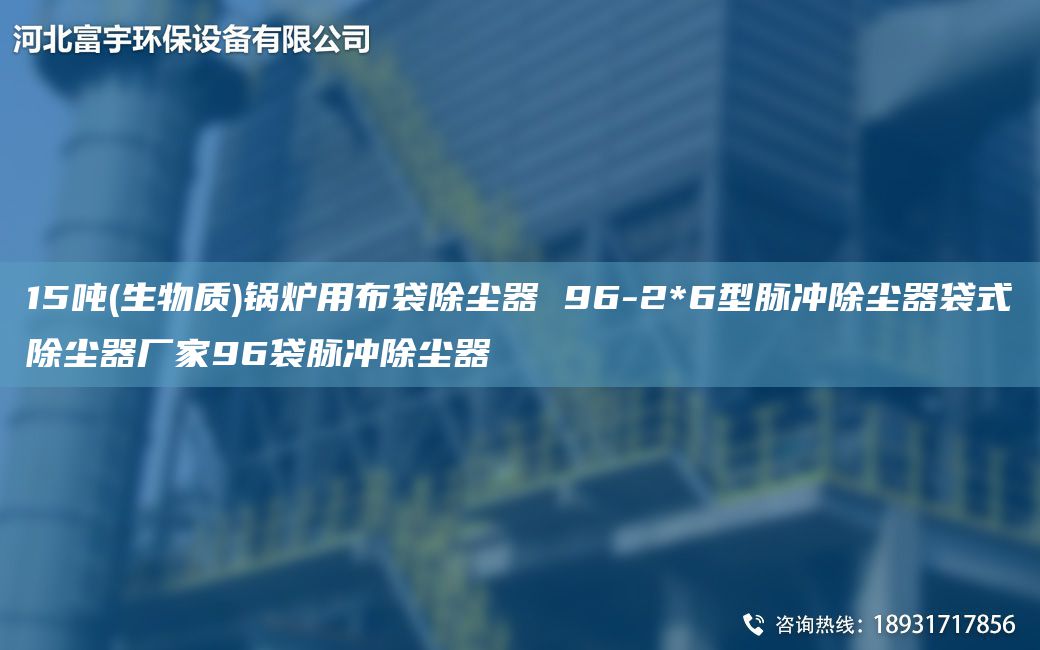 15噸(生物質(zhì))鍋爐用布袋除塵器 96-2*6型脈沖除塵器袋式除塵器廠家96袋脈沖除塵器