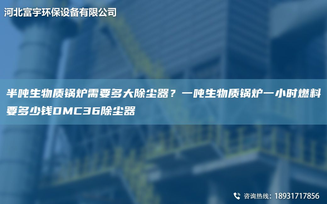 半噸生物質(zhì)鍋爐需要多大除塵器？一噸生物質(zhì)鍋爐一小時燃料要多少錢DMC36除塵器