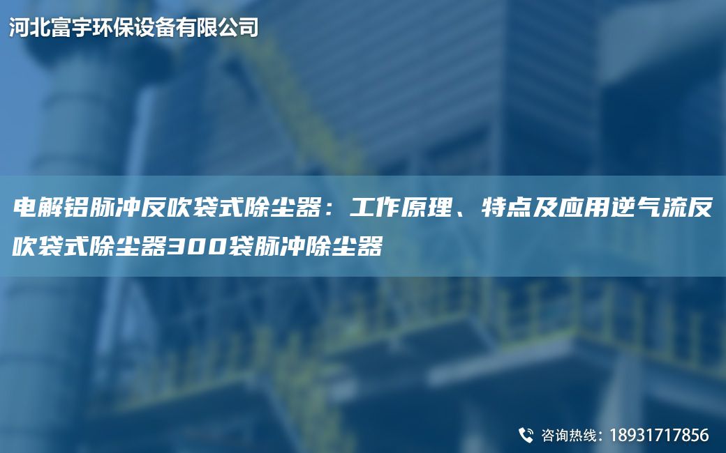 電解鋁脈沖反吹袋式除塵器：工作原理、特點(diǎn)及應(yīng)用逆氣流反吹袋式除塵器300袋脈沖除塵器