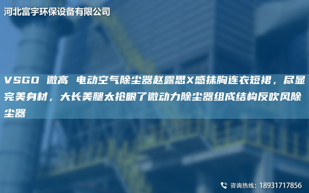 VSGO 微高 電動空氣除塵器趙露思X感抹胸連衣短裙，盡顯WM身材，大長美腿太搶眼了微動力除塵器組成結(jié)構(gòu)反吹風(fēng)除塵器
