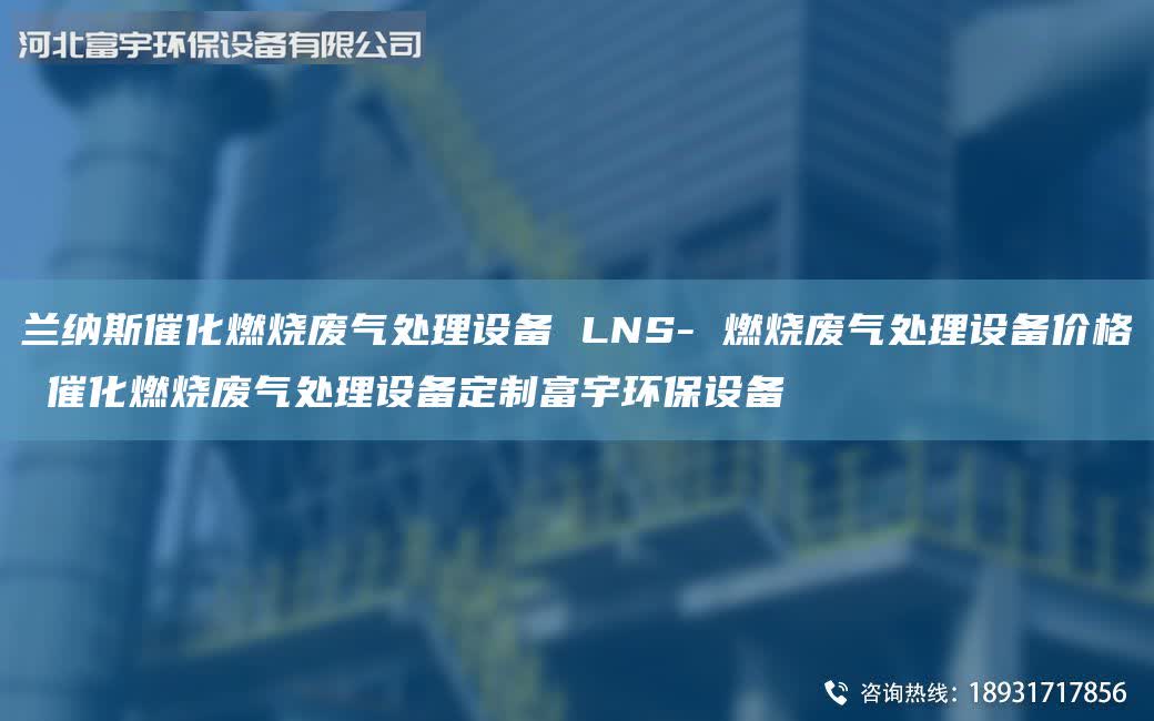 蘭納斯催化燃燒廢氣處理設(shè)備 LNS- 燃燒廢氣處理設(shè)備價(jià)格 催化燃燒廢氣處理設(shè)備定制富宇環(huán)保設(shè)備