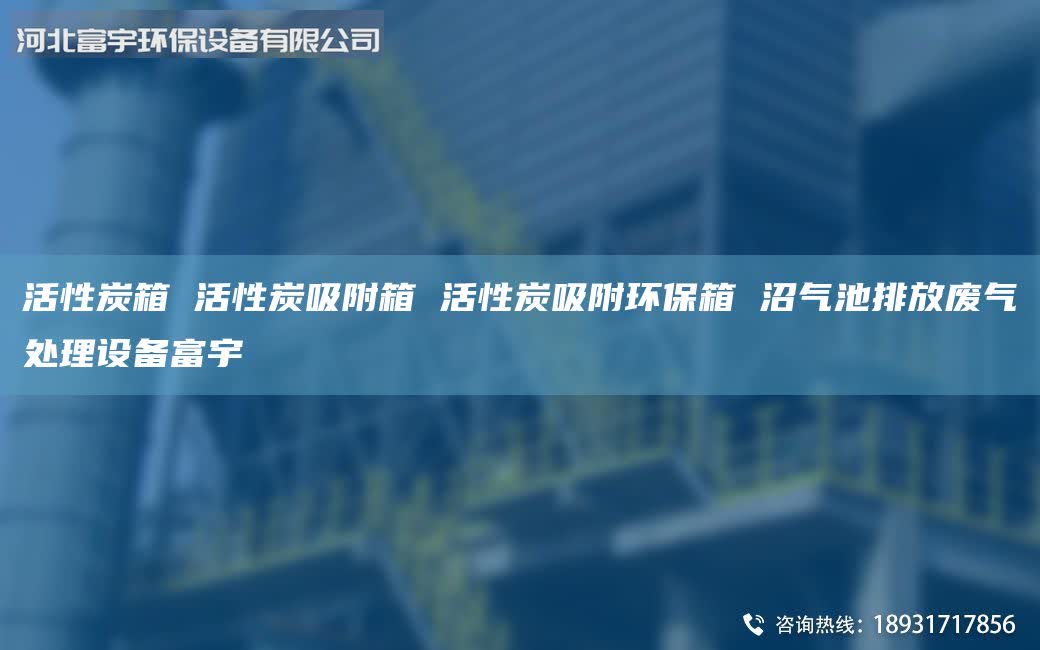 活性炭箱 活性炭吸附箱 活性炭吸附環(huán)保箱 沼氣池排放廢氣處理設(shè)備富宇