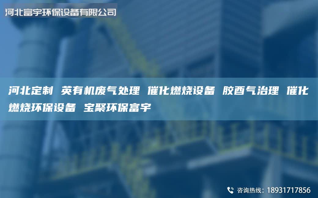 河北定制 英有機(jī)廢氣處理 催化燃燒設(shè)備 膠酉氣治理 催化燃燒環(huán)保設(shè)備 寶聚環(huán)保富宇