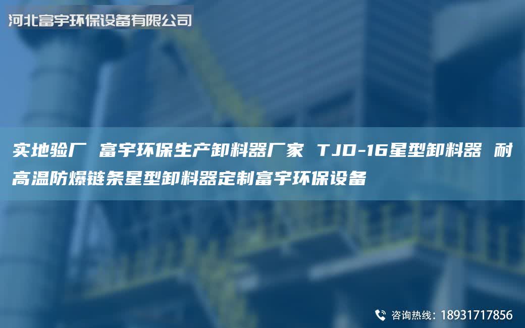 實地驗廠 富宇環(huán)保生產(chǎn)卸料器廠家 TJD-16星型卸料器 耐高溫防爆鏈條星型卸料器定制富宇環(huán)保設(shè)備