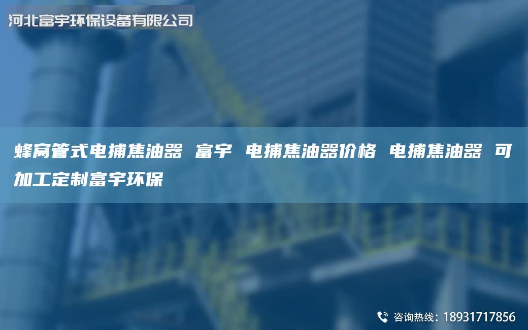 蜂窩管式電捕焦油器 富宇 電捕焦油器價格 電捕焦油器 可加工定制富宇環(huán)保