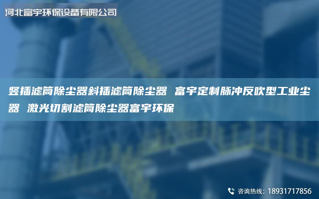 豎插濾筒除塵器斜插濾筒除塵器 富宇定制脈沖反吹型工業(yè)塵器 激光切割濾筒除塵器富宇環(huán)保