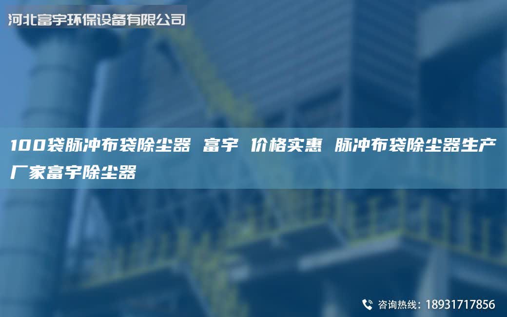 100袋脈沖布袋除塵器 富宇 價(jià)格實(shí)惠 脈沖布袋除塵器生產(chǎn)廠家富宇除塵器