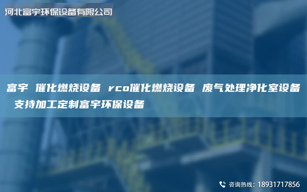 富宇 催化燃燒設備 rco催化燃燒設備 廢氣處理凈化室設備 支持加工定制富宇環(huán)保設備