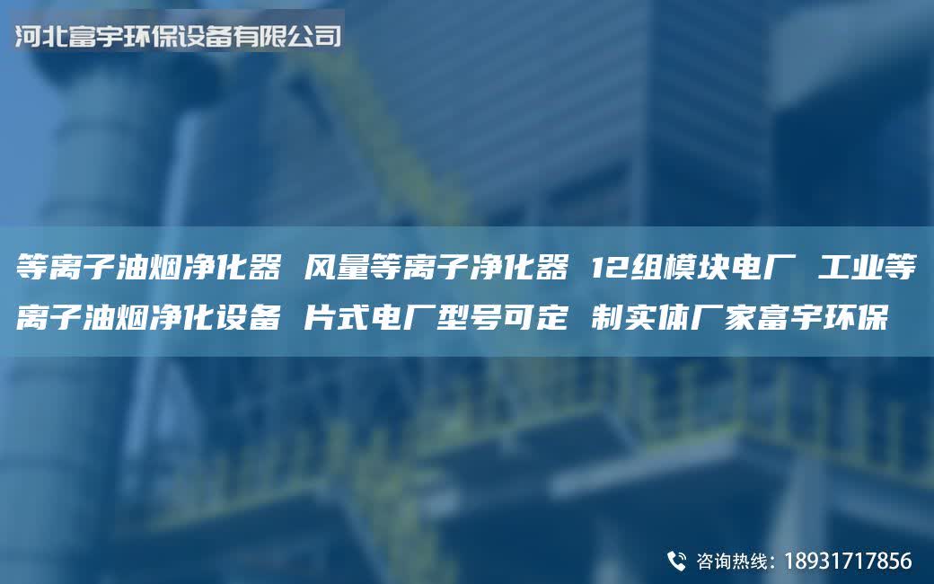 等離子油煙凈化器 風(fēng)量等離子凈化器 12組模塊電廠 工業(yè)等離子油煙凈化設(shè)備 片式電廠型號(hào)可定 制實(shí)體廠家富宇環(huán)保