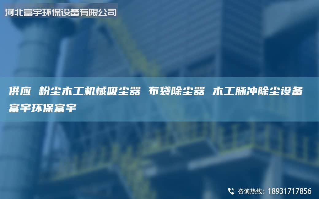 供應(yīng) 粉塵木工機(jī)械吸塵器 布袋除塵器 木工脈沖除塵設(shè)備 富宇環(huán)保富宇
