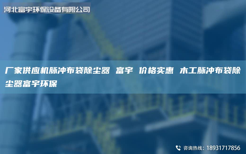 廠家供應(yīng)機脈沖布袋除塵器 富宇 價格實惠 木工脈沖布袋除塵器富宇環(huán)保