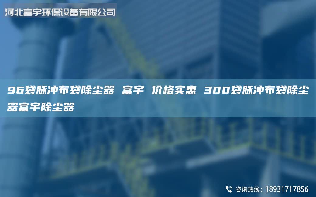 96袋脈沖布袋除塵器 富宇 價格實惠 300袋脈沖布袋除塵器富宇除塵器