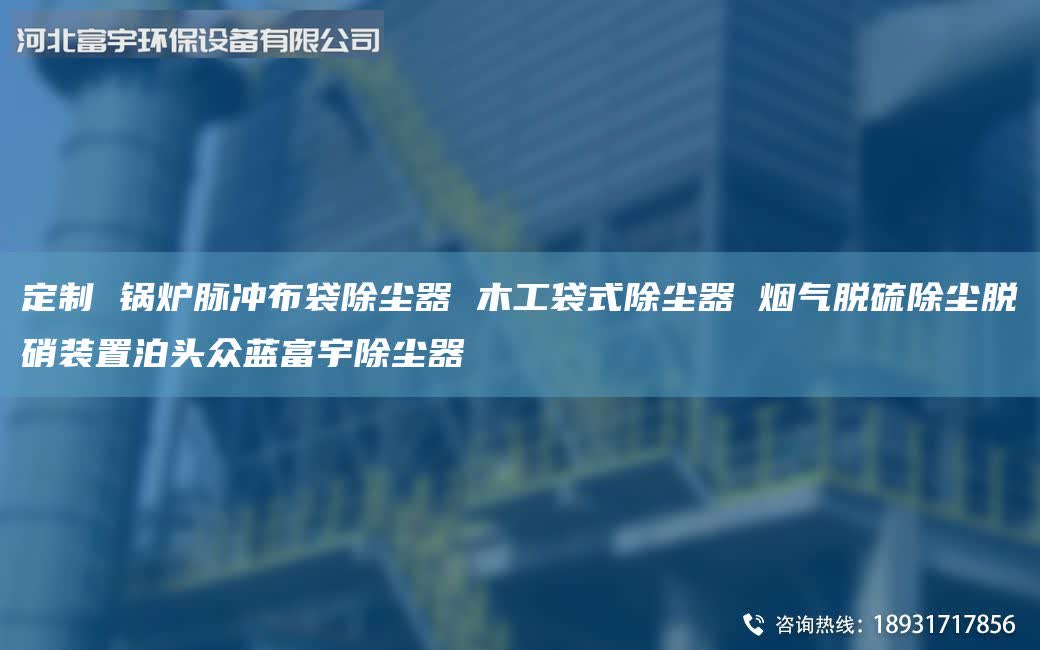  定制 鍋爐脈沖布袋除塵器 木工袋式除塵器 煙氣脫硫除塵脫硝裝置泊頭眾藍(lán)富宇除塵器