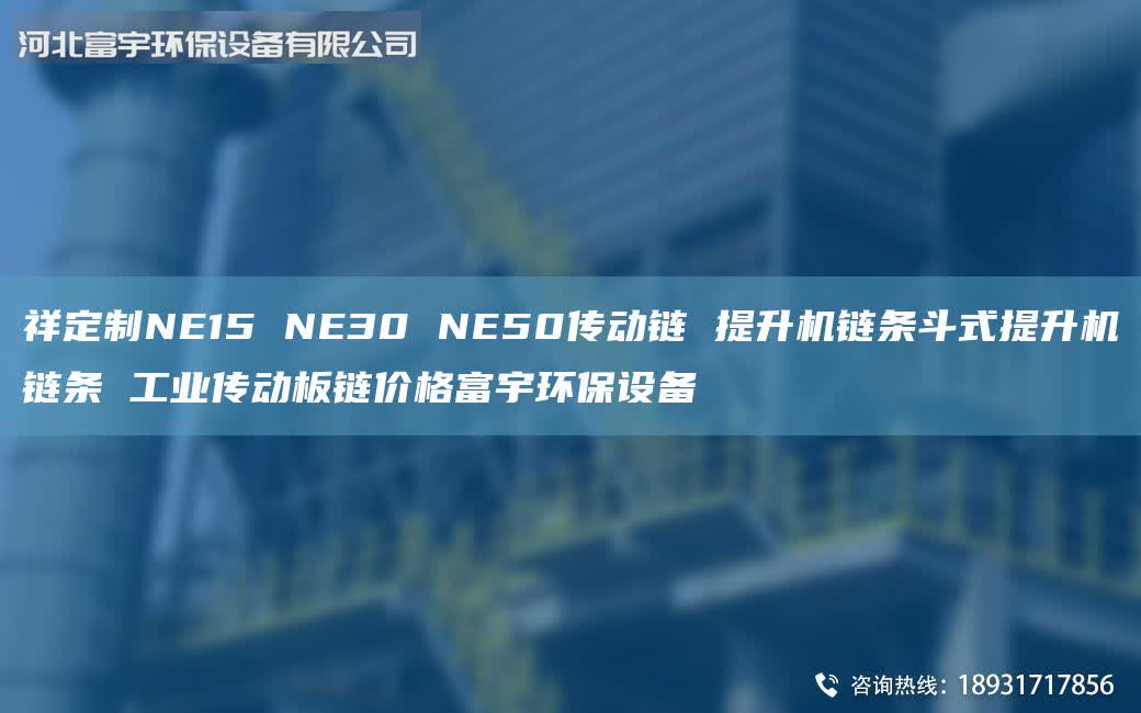 祥定制NE15 NE30 NE50傳動鏈 提升機鏈條斗式提升機鏈條 工業(yè)傳動板鏈價格富宇環(huán)保設備