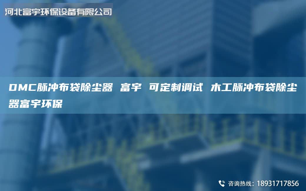 DMC脈沖布袋除塵器 富宇 可定制調(diào)試 木工脈沖布袋除塵器富宇環(huán)保