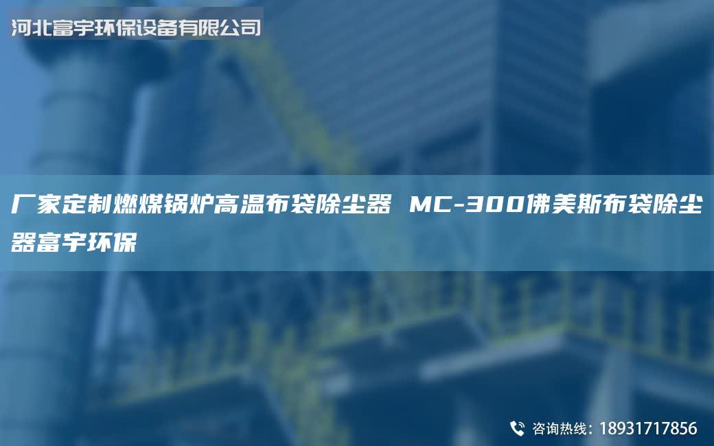 廠家定制燃煤鍋爐高溫布袋除塵器 MC-300佛美斯布袋除塵器富宇環(huán)保