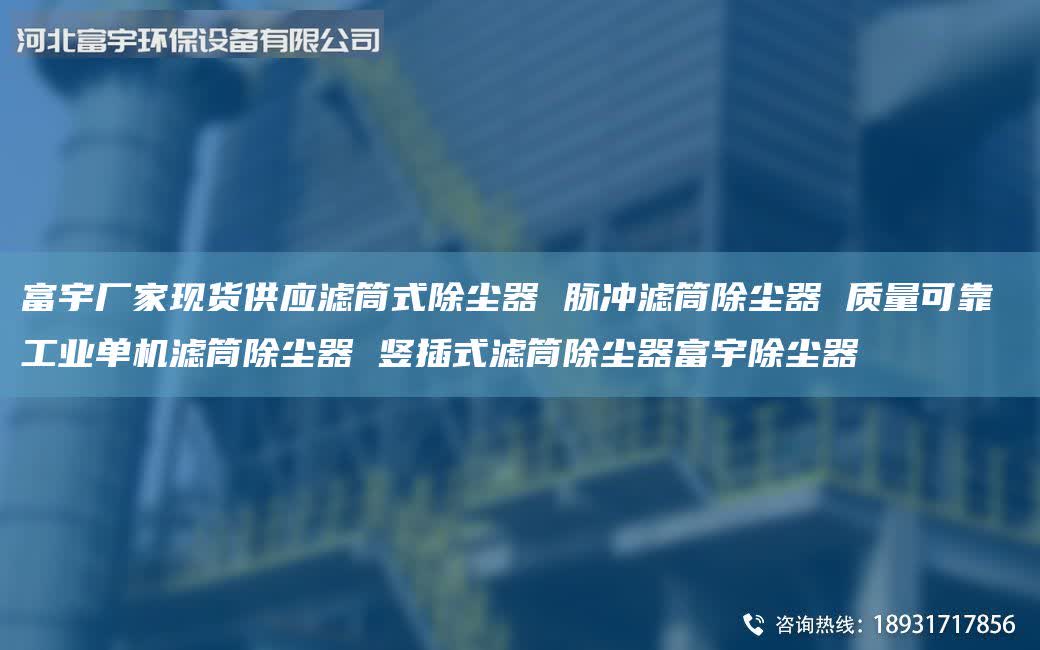 富宇廠家現(xiàn)貨供應(yīng)濾筒式除塵器 脈沖濾筒除塵器 質(zhì)量可靠 工業(yè)單機(jī)濾筒除塵器 豎插式濾筒除塵器富宇除塵器