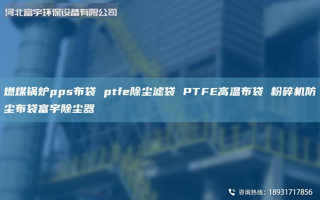 燃煤鍋爐pps布袋 ptfe除塵濾袋 PTFE高溫布袋 粉碎機防塵布袋富宇除塵器