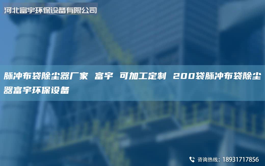 脈沖布袋除塵器廠家 富宇 可加工定制 200袋脈沖布袋除塵器富宇環(huán)保設備