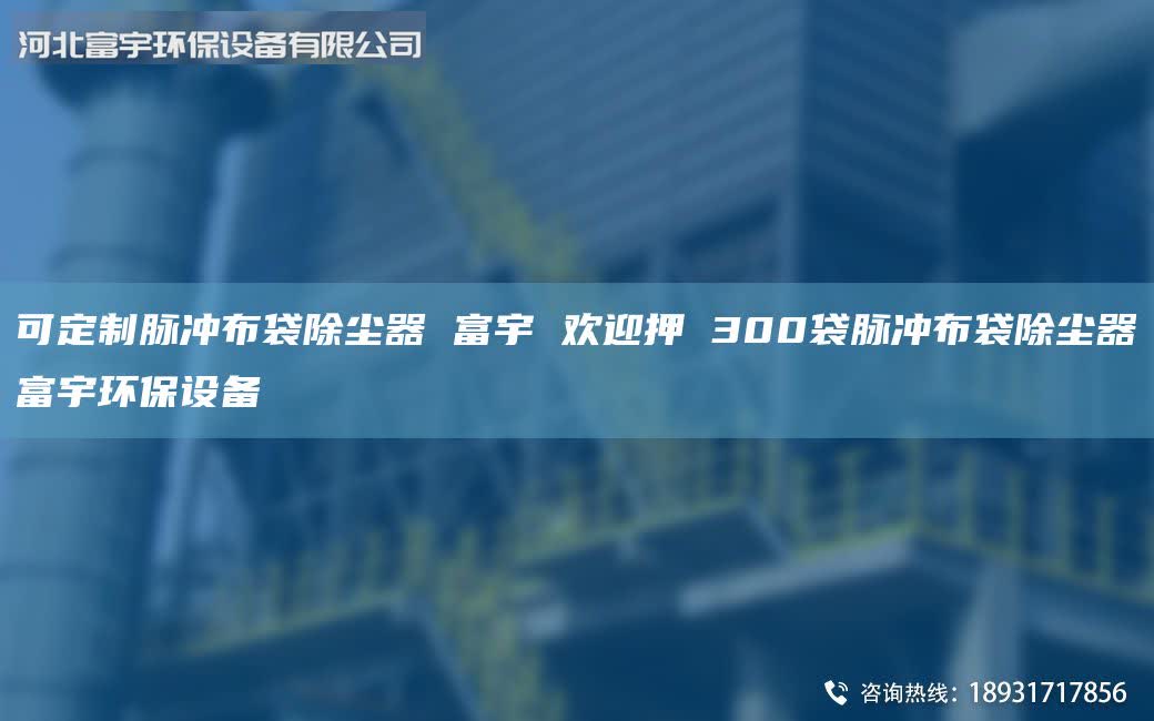可定制脈沖布袋除塵器 富宇 歡迎押 300袋脈沖布袋除塵器富宇環(huán)保設(shè)備
