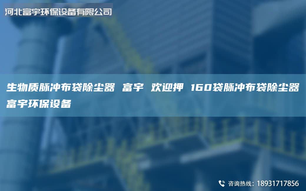 生物質(zhì)脈沖布袋除塵器 富宇 歡迎押 160袋脈沖布袋除塵器富宇環(huán)保設(shè)備