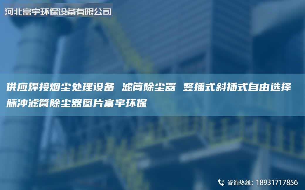 供應(yīng)焊接煙塵處理設(shè)備 濾筒除塵器 豎插式斜插式自由選擇 脈沖濾筒除塵器圖片富宇環(huán)保