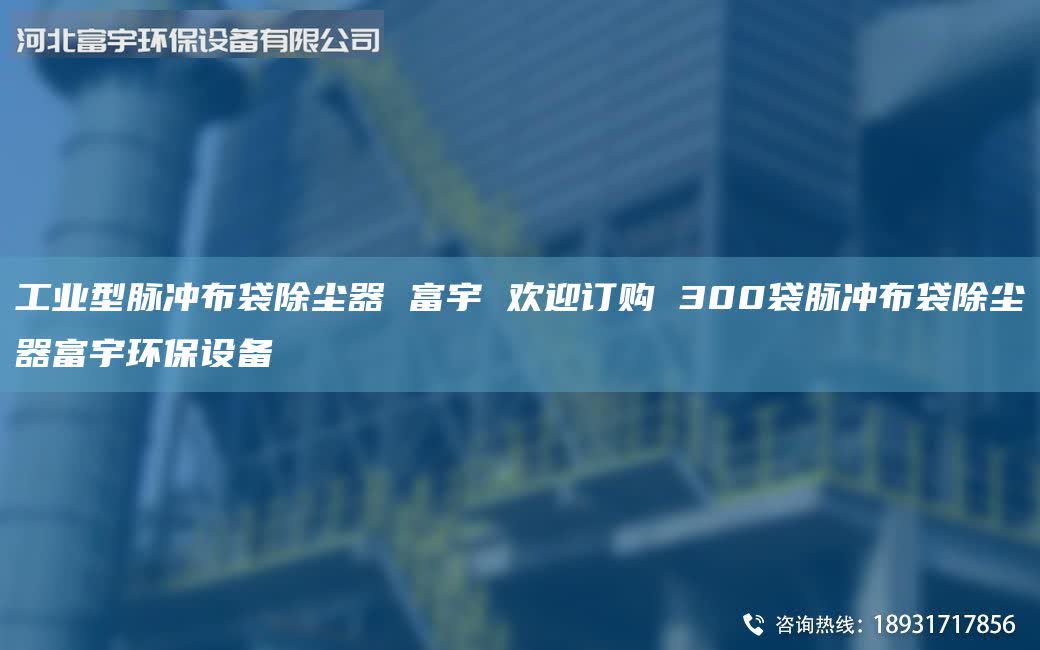 工業(yè)型脈沖布袋除塵器 富宇 歡迎訂購(gòu) 300袋脈沖布袋除塵器富宇環(huán)保設(shè)備